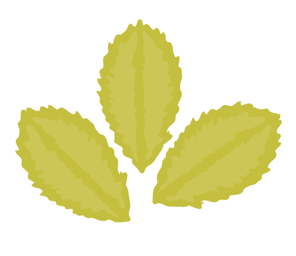 creating two more leaves