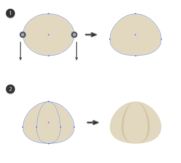 creating a base shape of the garlic