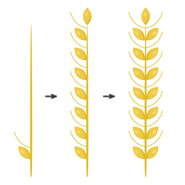 continuing creating the spikelet