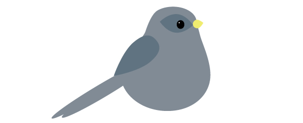 placing a  dark area around the bird eye