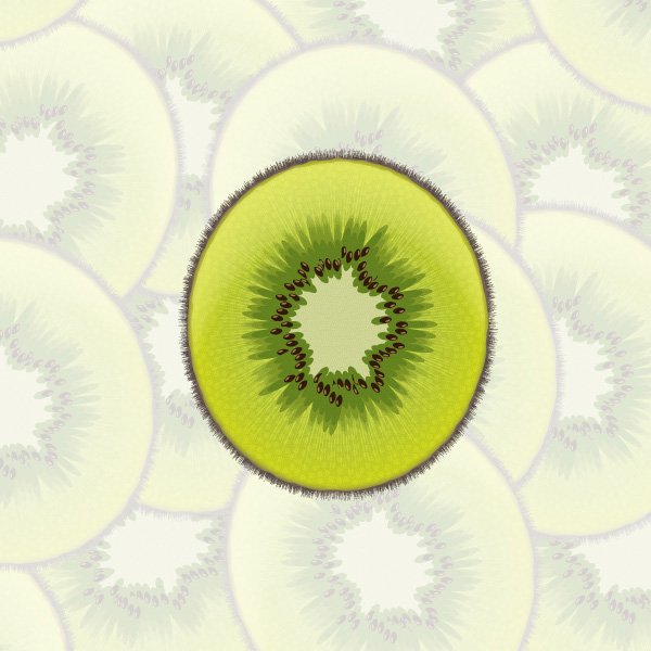 Create a Sliced Kiwi Fruit With Only One Shape in Adobe Illustrator