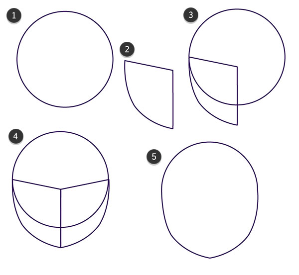 Drawing the basic head shape