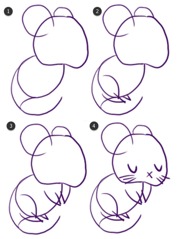 Drawing the rats limbs tail and face