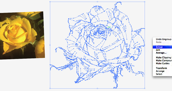 Sketch of a rose