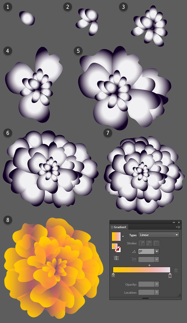 Drawing marigolds