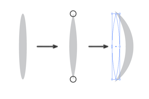 creating the shape to show the hind paw