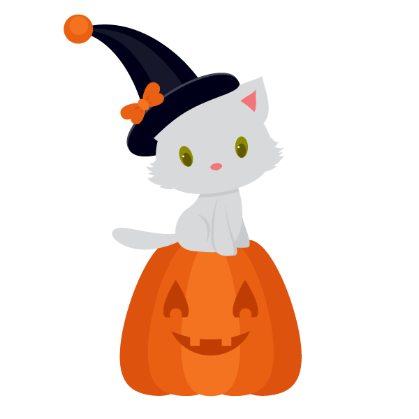 placing kitty on the pumpkin