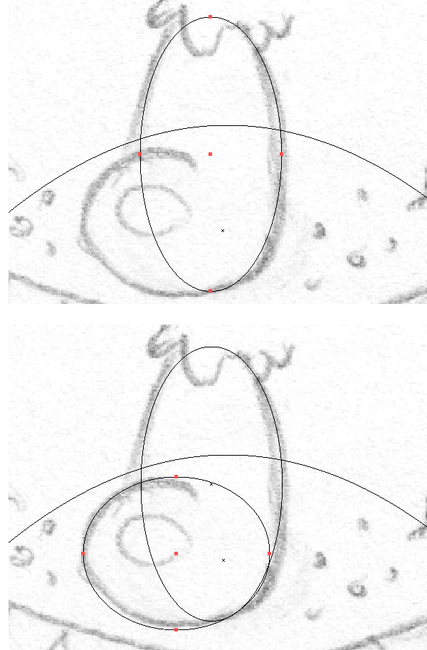 shape the nose with ellipse tool L