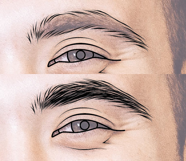 Render the eyebrows