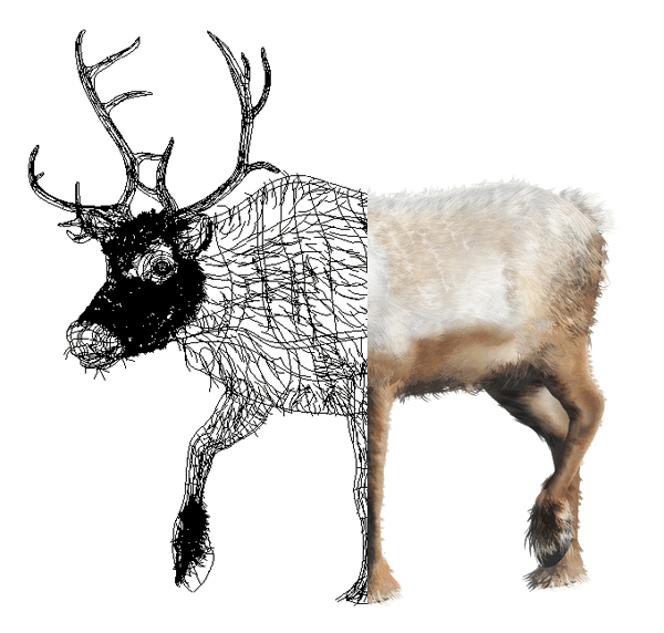 Reindeer Gradient Mesh