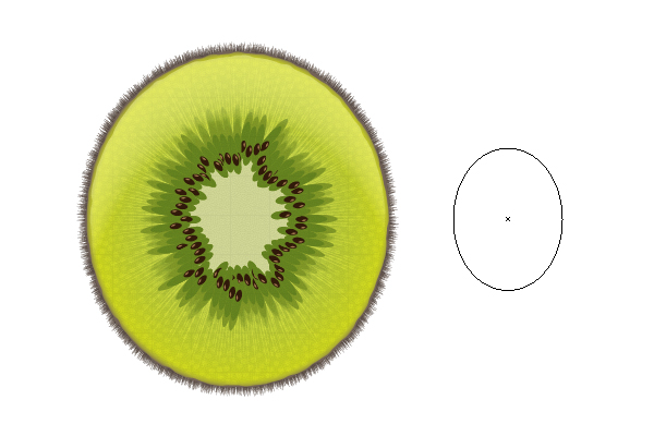 Kiwi One Shape Design