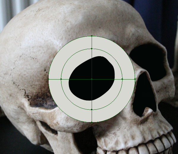 skull_4-2_circular_mesh