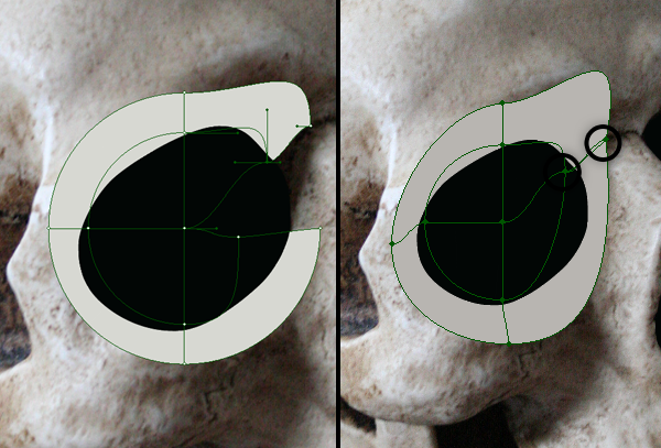 skull_4-3_shape