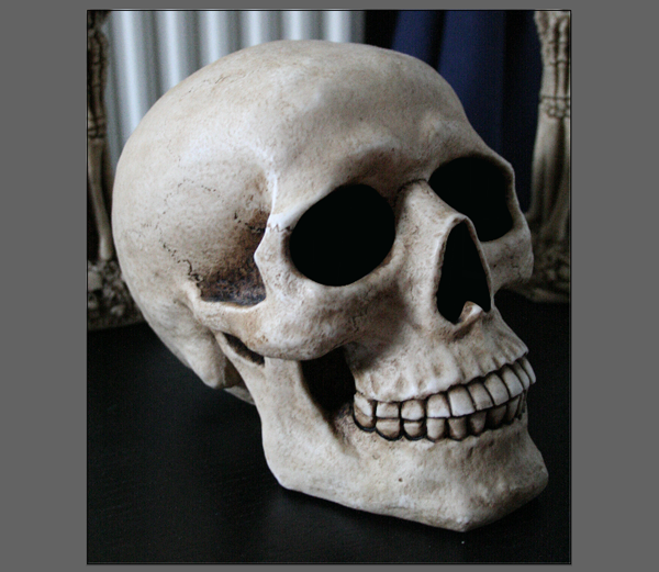 skull_3-7_eyes_and_nose_done