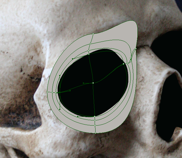 skull_4-4_more_mesh_points