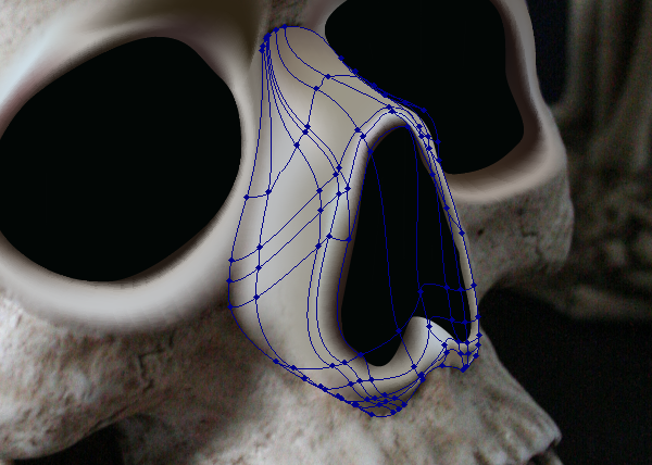 skull_5-4_nose