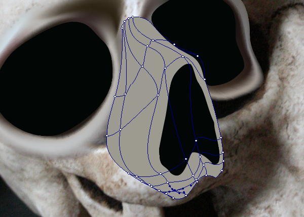 skull_5-3_nose