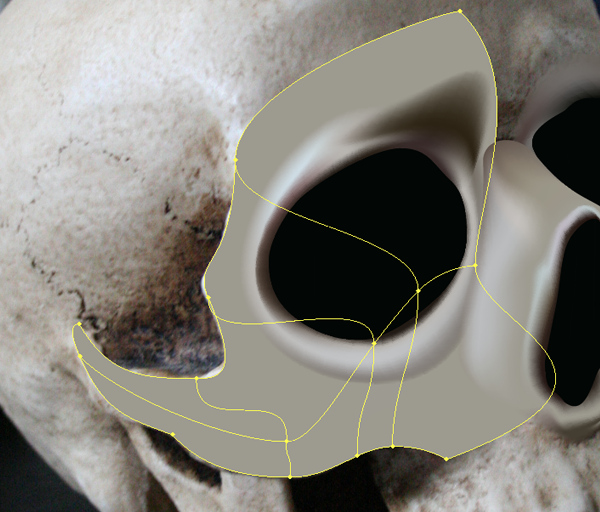 skull_6-2_cheek