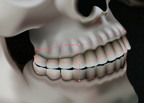 skull_9-6_teeth