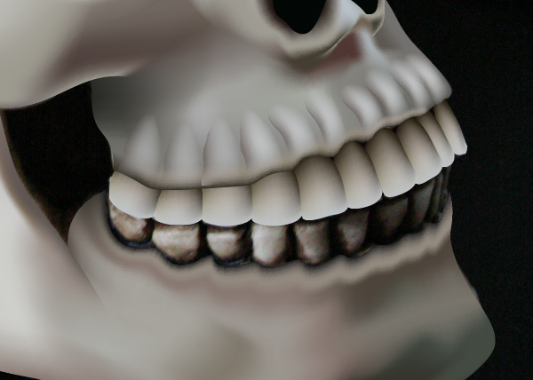 skull_9-3_teeth