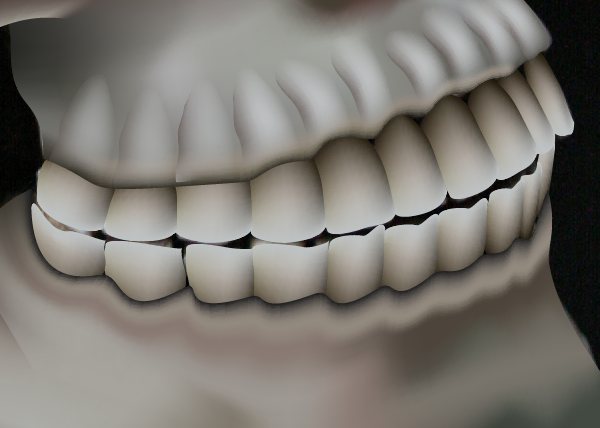 skull_9-4_teeth