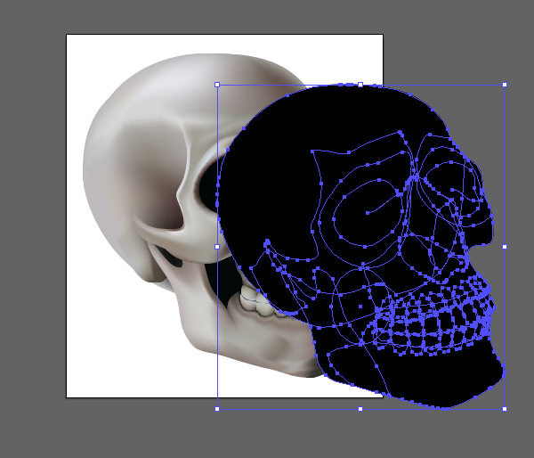 skull_11-3_offset_path