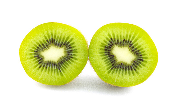 kiwi fruit vector