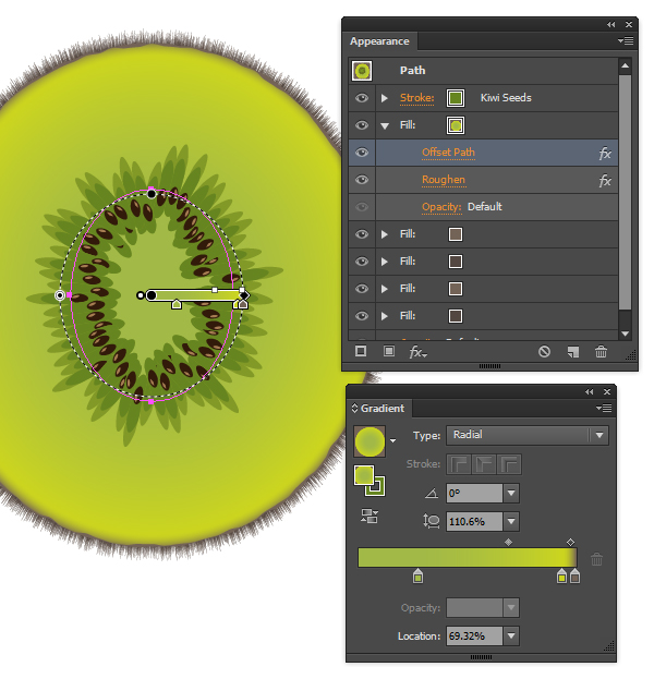 kiwi fruit vector