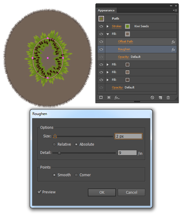 kiwi fruit vector