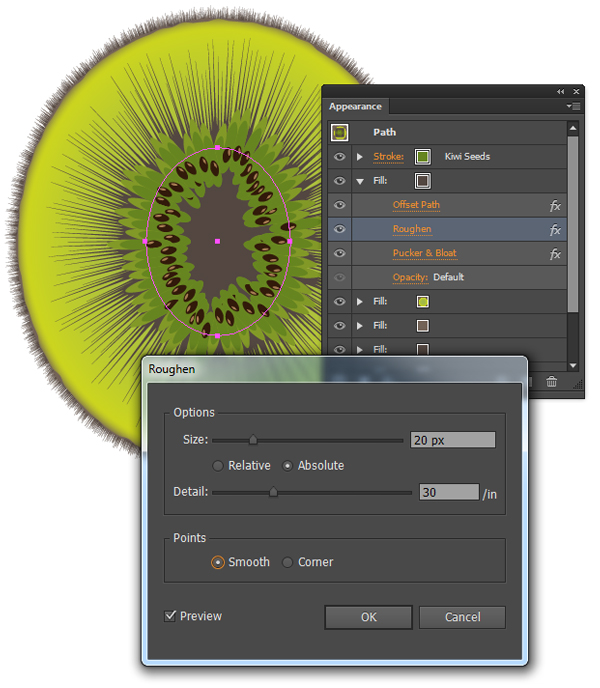 kiwi fruit vector