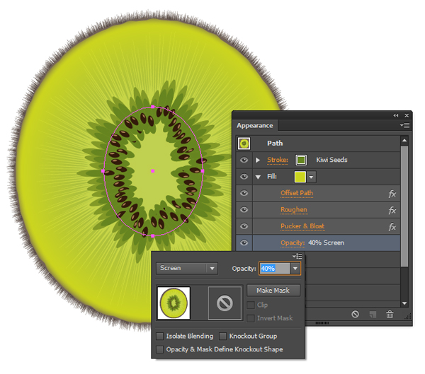 kiwi fruit vector