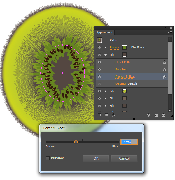 kiwi fruit vector