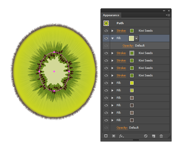 kiwi fruit vector