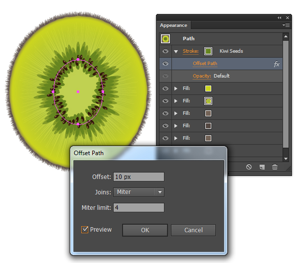 kiwi fruit vector