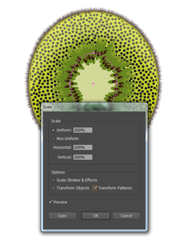 kiwi fruit vector