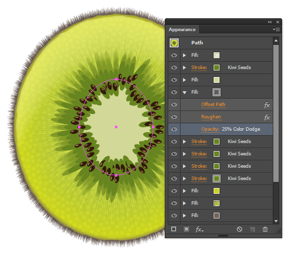 kiwi fruit vector