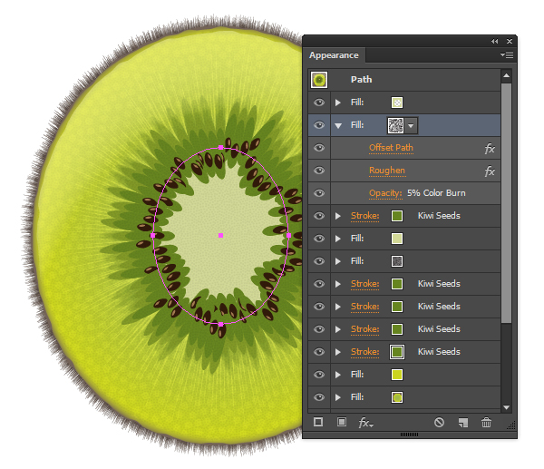 kiwi fruit vector