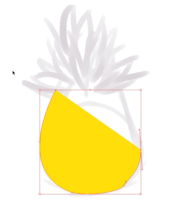 pineapple_003