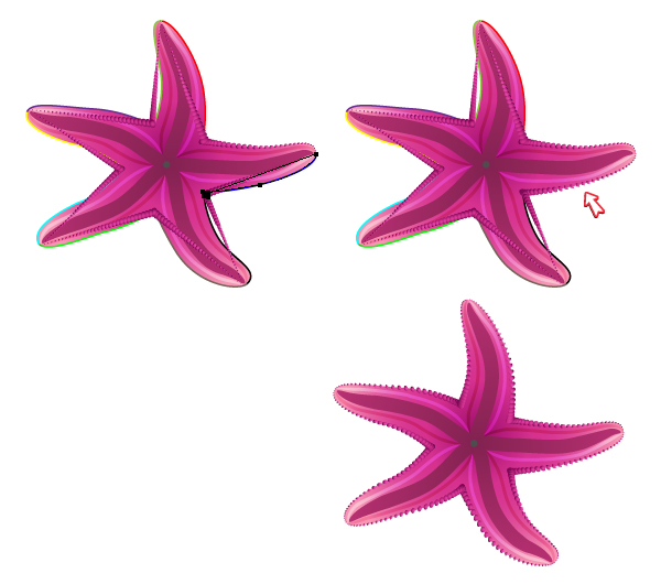 diana-QT-Starfish-18