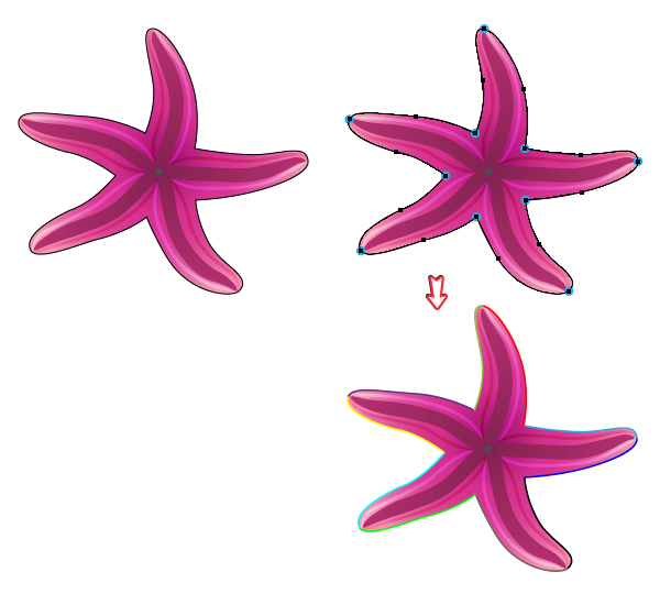 diana-QT-Starfish-16