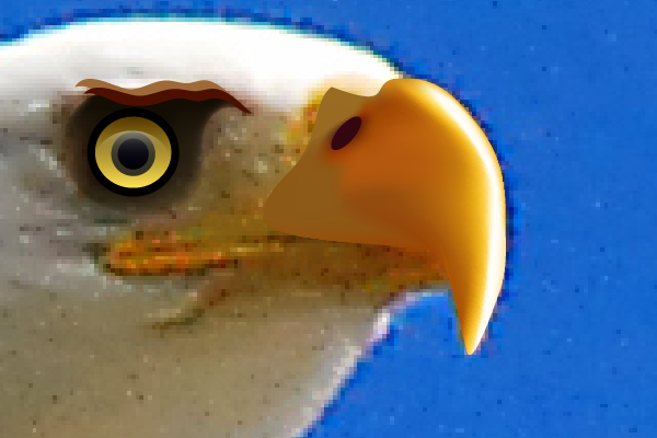 baldeagle4-8_beak