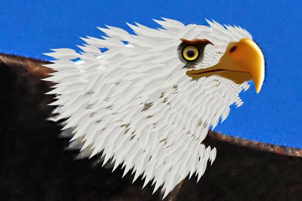 baldeagle5-5_headfeatherbrush4