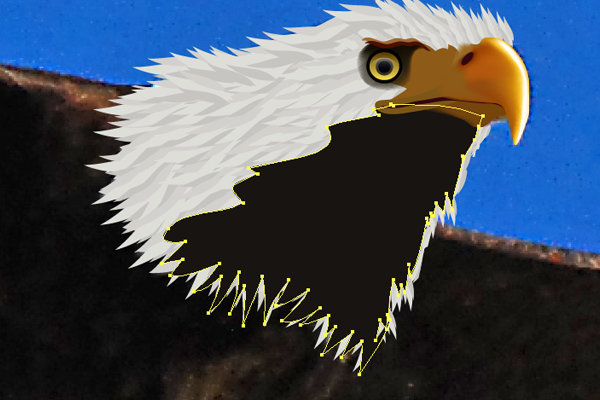 baldeagle6-1_headshading