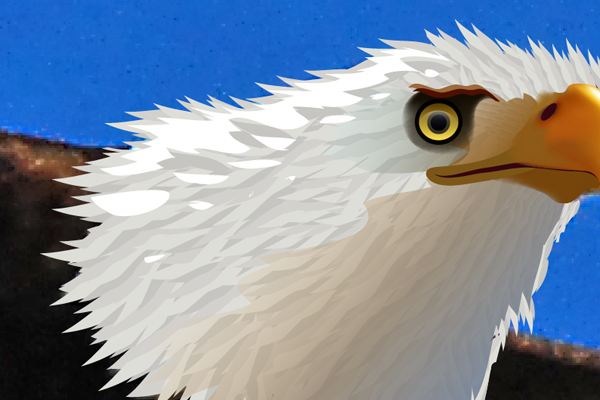 baldeagle6-5_headshading5