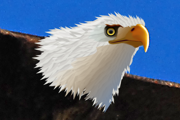 baldeagle6-7_headshading7