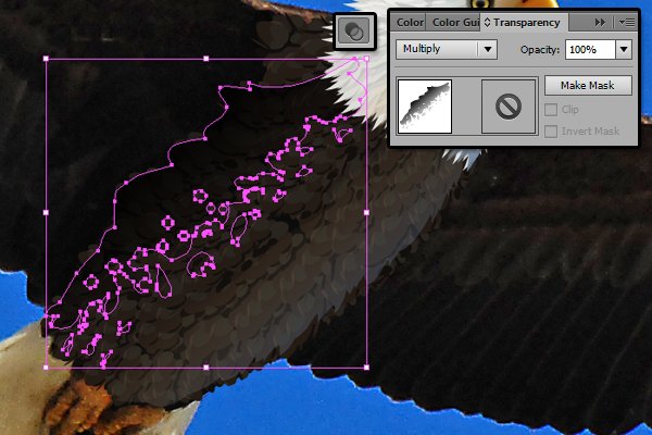 baldeagle8-5_barrowshading5