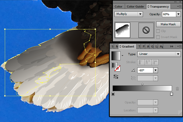 baldeagle11-5_tailshading5