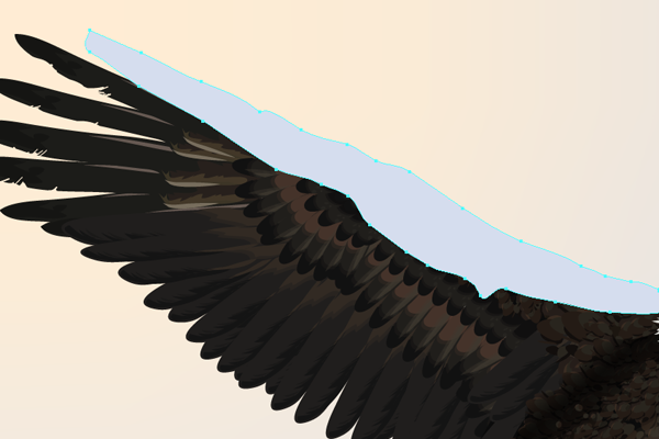 baldeagle19-1_winglight