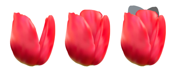 diana-tut-tulips mesh-22