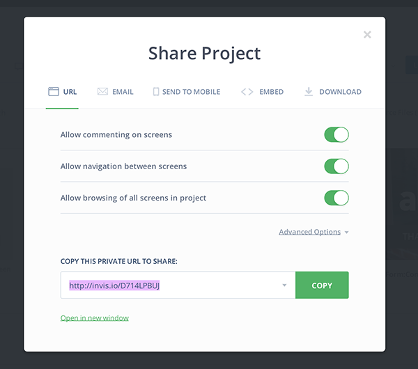 InVision Share Project